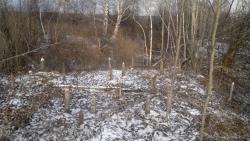 post-3072-0-30437300-1320555307_thumb.jp