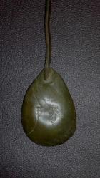 post-3072-0-32206100-1320582247_thumb.jp