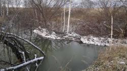 post-3072-0-95553700-1320555146_thumb.jp