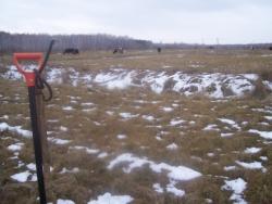 post-4269-0-03922600-1320329759_thumb.jp