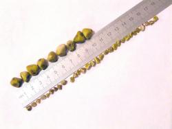 post-5029-0-17472900-1321861328_thumb.jp