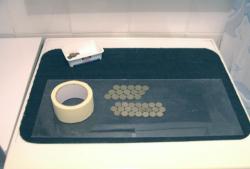 post-5029-0-33989400-1321191819_thumb.jp