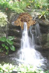 post-5029-0-78032500-1321457958_thumb.jp