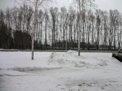 post-5575-0-89103300-1320319951_thumb.jp