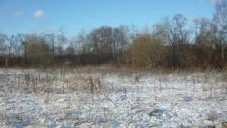 post-5580-0-00851900-1321374002_thumb.jp