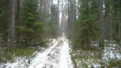 post-5580-0-21376600-1321635643_thumb.jp