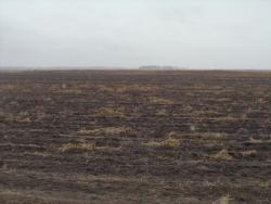 post-7121-0-57955400-1320418142_thumb.jp