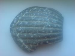 post-8469-0-00920800-1321434552_thumb.jp