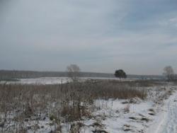 post-10696-0-49623100-1353167639_thumb.j