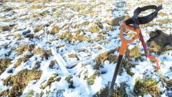 post-11080-0-82870700-1352743424_thumb.j