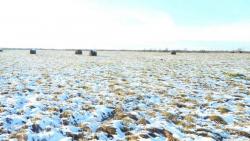 post-11080-0-85770100-1352742883_thumb.j