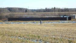 post-11080-0-87902300-1352742432_thumb.j