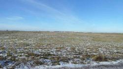 post-11080-0-90738400-1352742157_thumb.j