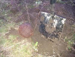 post-13014-0-18819400-1351759597_thumb.j