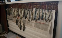 post-14129-0-16610000-1352360967_thumb.j