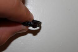 post-15895-0-80535500-1352119795_thumb.j