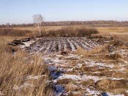 post-1697-0-20630400-1352200870_thumb.jp