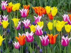 post-1724-0-33592400-1352799350_thumb.jp