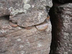 post-17252-0-45693000-1352740841_thumb.j