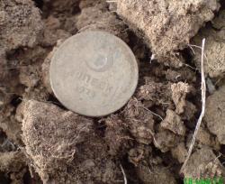 post-17557-0-24149600-1353748499_thumb.j