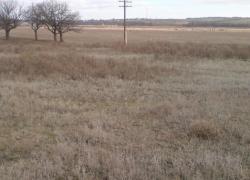 post-17557-0-62221900-1353748254_thumb.j