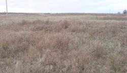 post-17557-0-69959200-1353748235_thumb.j