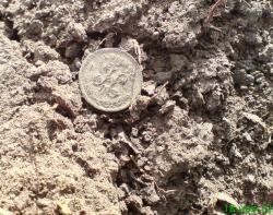 post-17557-0-80994600-1353749631_thumb.j