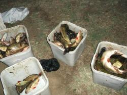 post-18456-0-37007100-1354282551_thumb.j