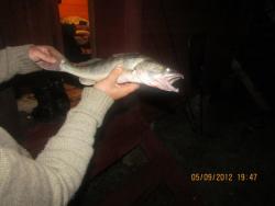 post-18456-0-80374600-1354282538_thumb.j