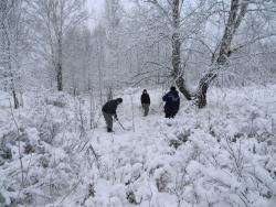 post-3295-0-80985200-1352123310_thumb.jp