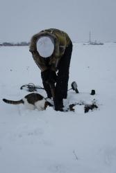 post-3331-0-09919700-1351915916_thumb.jp