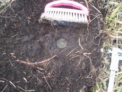 post-4269-0-11653000-1351781583_thumb.jp