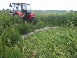 post-4269-0-39379300-1352301026_thumb.jp