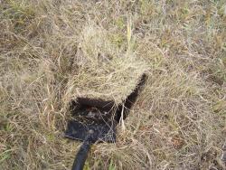 post-4269-0-70926000-1351781381_thumb.jp