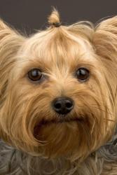 post-4485-0-37388500-1353065678_thumb.jp