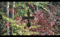 post-4844-0-76974200-1354124664_thumb.jp