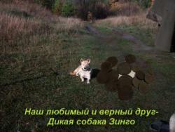 post-4844-0-91046200-1354124572_thumb.jp