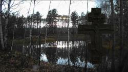 post-4844-0-98703800-1354121765_thumb.jp