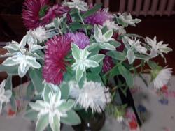 post-4989-0-34923900-1352740013_thumb.jp