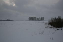 post-5279-0-95018200-1352816774_thumb.jp