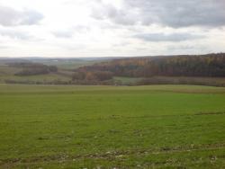 post-5925-0-93029900-1353704569_thumb.jp