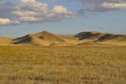 post-6129-0-15595000-1352214248_thumb.jp