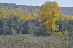 post-6129-0-23132900-1352214231_thumb.jp