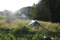 post-6129-0-34824900-1352214456_thumb.jp