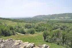 post-6129-0-62491800-1352214294_thumb.jp