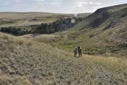 post-6129-0-67301500-1352214182_thumb.jp