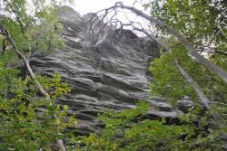 post-6129-0-71198900-1352214284_thumb.jp