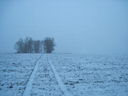 post-6245-0-38293700-1352294172_thumb.jp