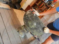 post-6685-0-38643000-1352820046_thumb.jp