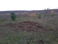 post-6726-0-04619100-1351936779_thumb.jp